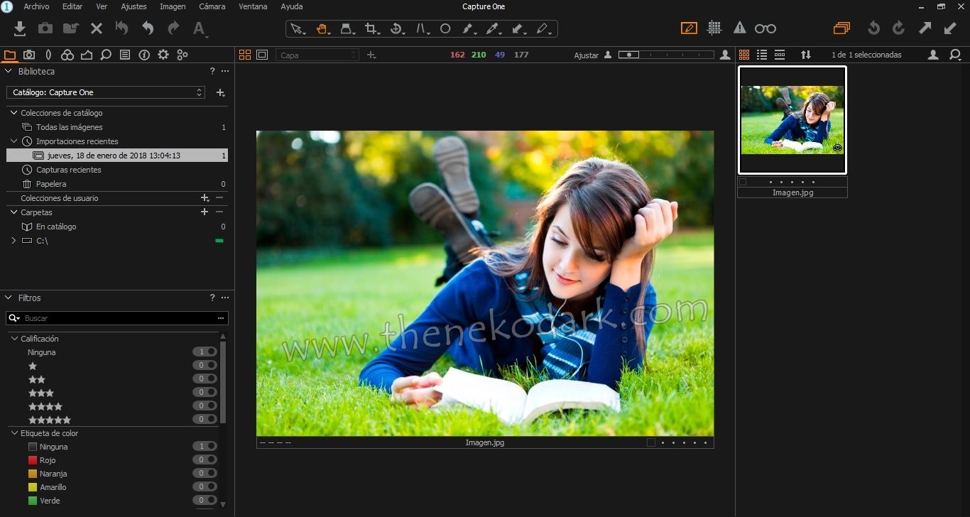 Descargar Capture One Pro 21 v14.4.0.101 | Programas Pc 7g | Descargar full Pro Premium