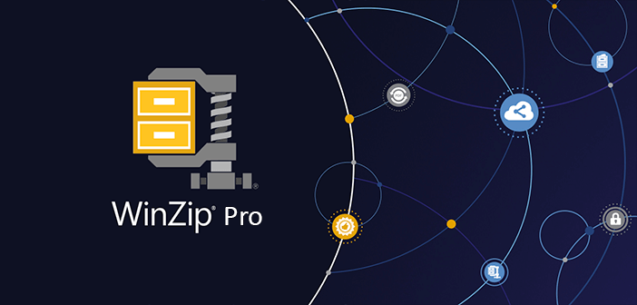 WinZip Pro 28.0.15620 download the new version for android