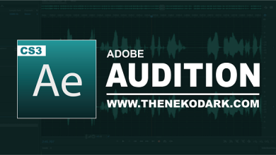 Adobe Audition CS3 Full