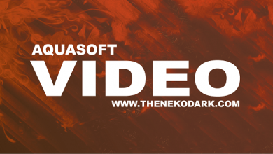 AquaSoft Video Vision Full
