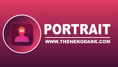 ON1 Portrait Full